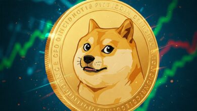 Guía completa con todo sobre la criptomoneda Dogecoin