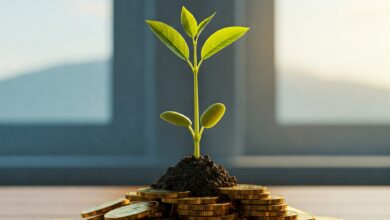 Aprenda a invertir su dinero en la bolsa de valores