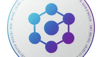 Guía completa de la criptomoneda Polkadot (DOT)